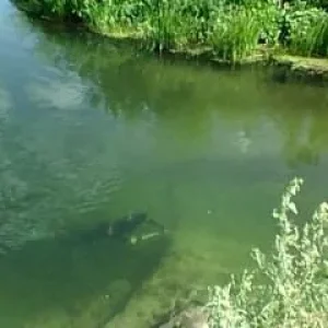 Раньше был такой прозрак.
