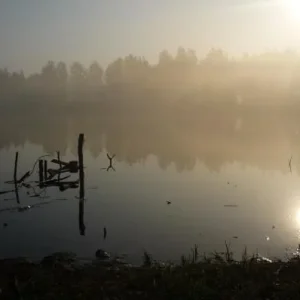 волга.