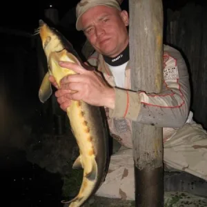 IMG 2609