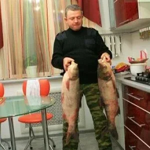 Редактированный