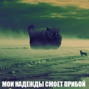 ллллл