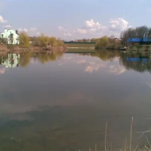 р2010 (3)