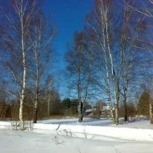 01032011295