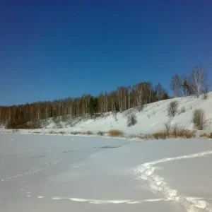 01032011306