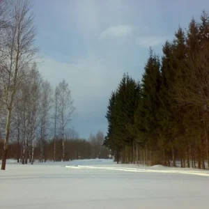 26022011293