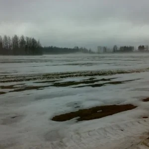 Копия (2) 08042011318