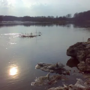 070420101037