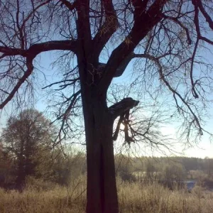 23112011456