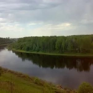 22052010020