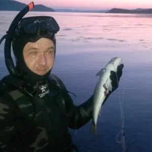 пеленгас