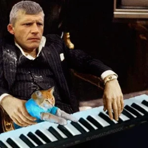 keyboardcatB3TA (14)