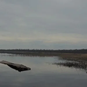 DSCN0831