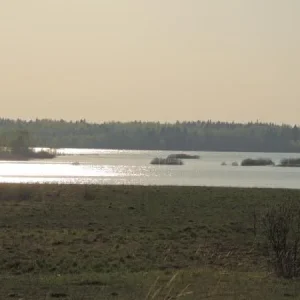 DSCN1030