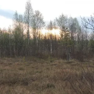 DSCN1068