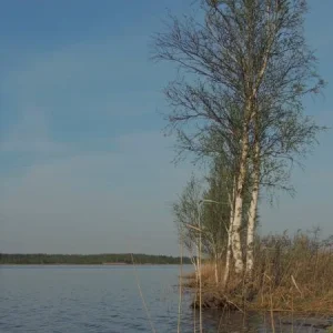 DSCN1097