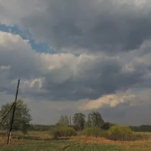 DSCN1183