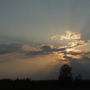 DSCN1229