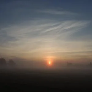 DSCN1238