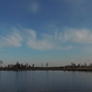 DSCN1267