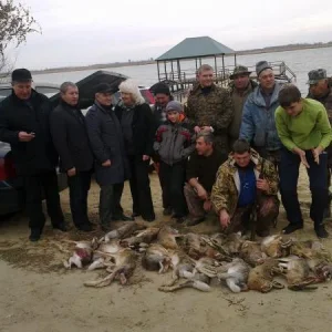 03112012216
