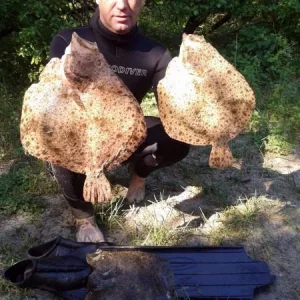 Калканы
