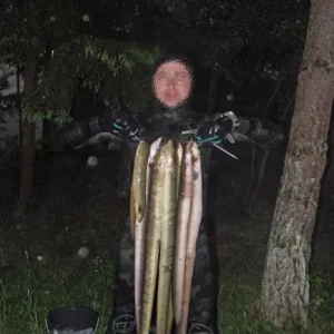 Шнурки