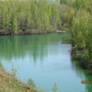 IMG 0399