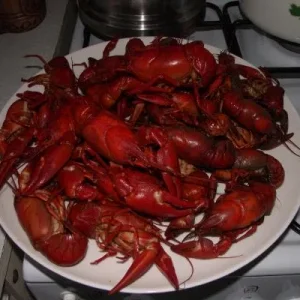 Раки