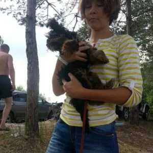 Изображение 130111