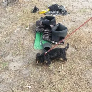 Изображение 135911