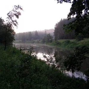 Которосль