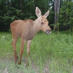 P6300152