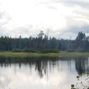DSC 0201а
