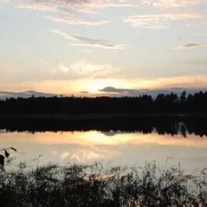 DSC 0216а