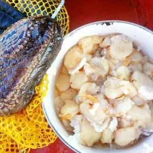 Дары моря, на общий стол.