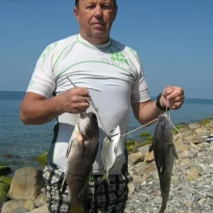 IMG 3205
август 2013