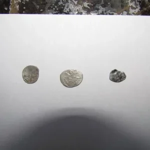 чешуя