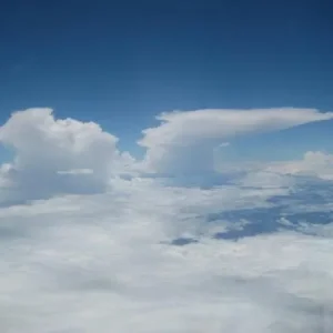 IMG 0038