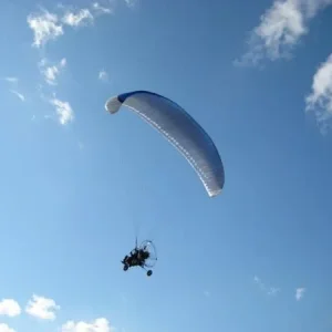IMG 0036
