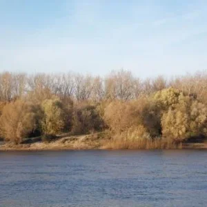 DSCN1467
