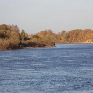 DSCN1468
