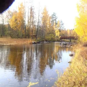 В воде чего только не плавает