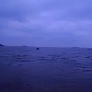 Залив