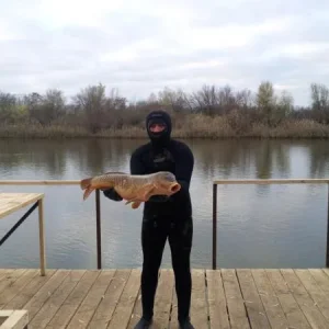 Поросенок.