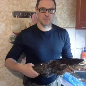 Сомик на 3 кг
