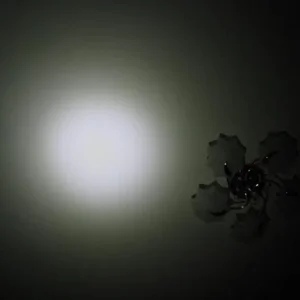 IMG 1991.JPG узкий боря