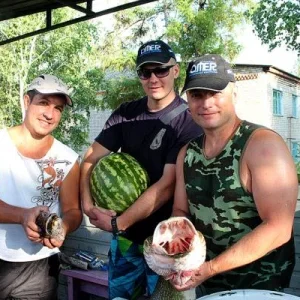 щука в арбузах