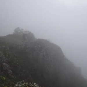 DSC06055