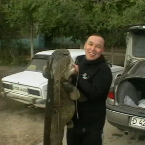 сомик 22кг