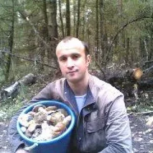 Грибочки